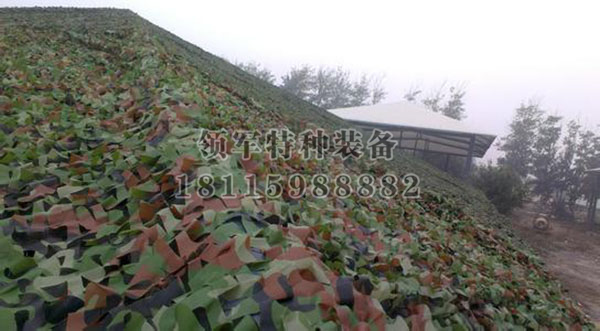 偽裝（zhuāng）網
